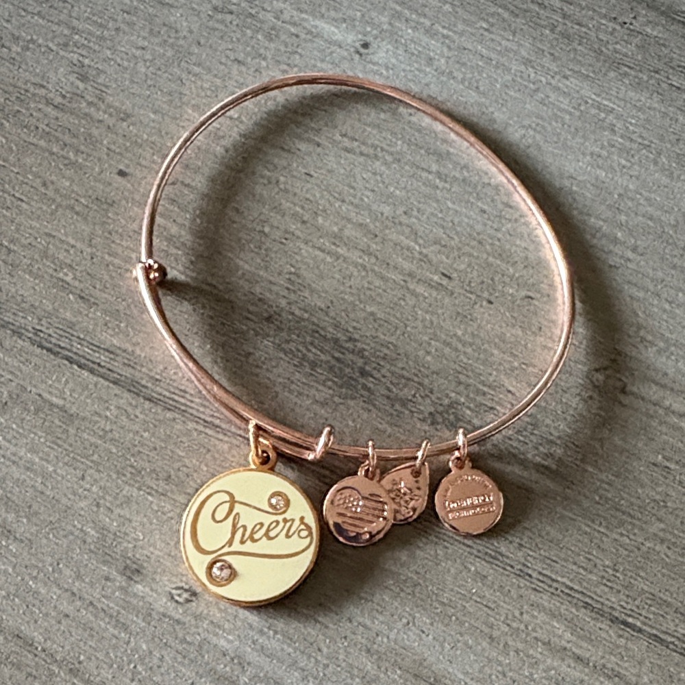 Alex & Ani Charm Bracelet preloved